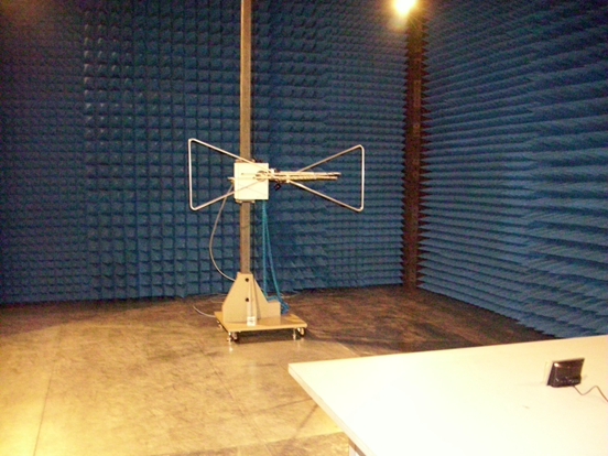 ��ż���ʵ����