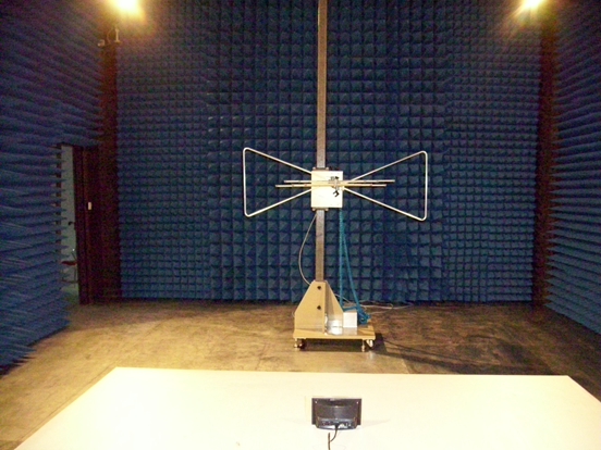 ��ż���ʵ����